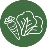 verduras-e-legumes