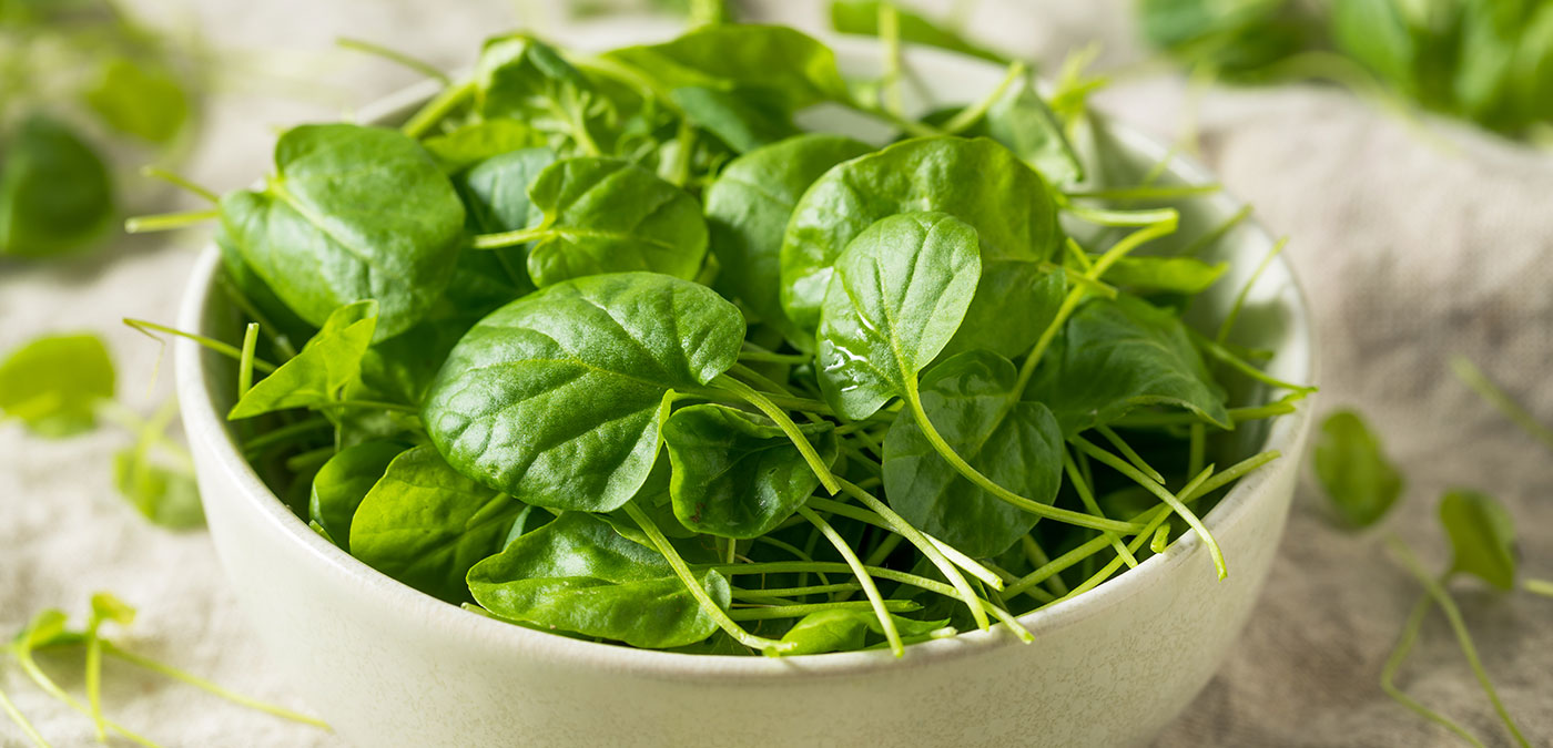 Agrião - uma hortaliça saudável e versátil na cozinha